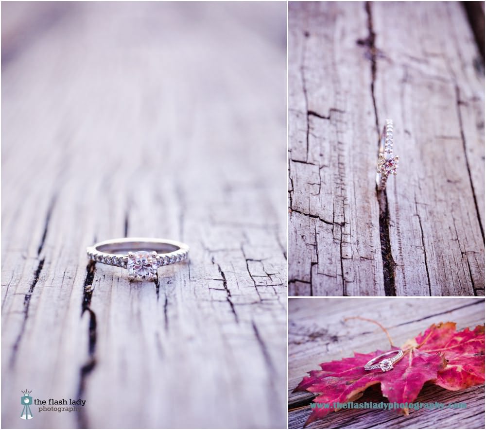 Brooke & Matt's engagement photos at The Drake Hill Flower Bridge, Simsbury, CT