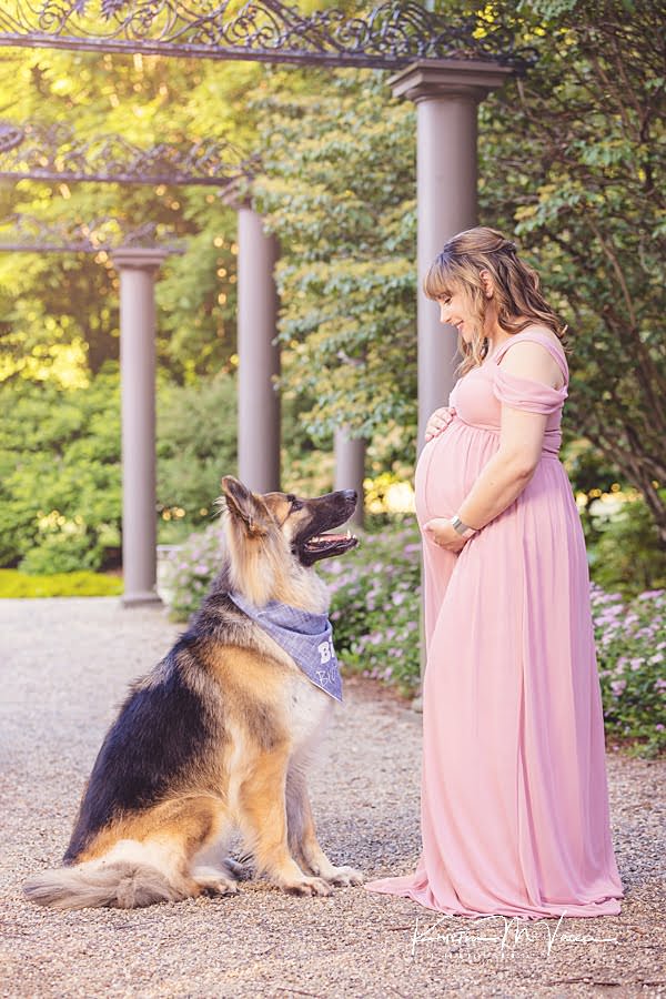 Pregnant woman in a pink dress looking at her dog during their family and dog maternity photos