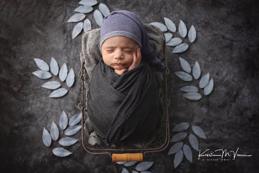Sleeping 6 week old newborn in a gray wrap surrounded by blue leaves during his photoshoot